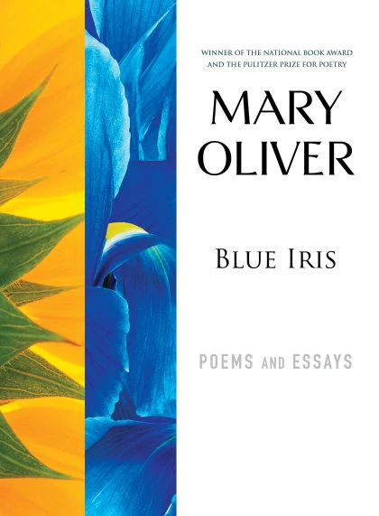 Blue Iris STANDARD