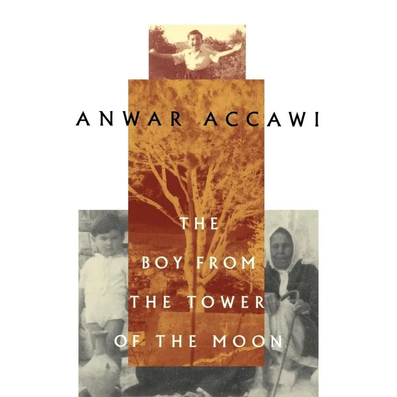 The Boy from the Tower of the Moon