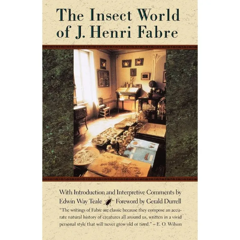 The Insect World of Fabre