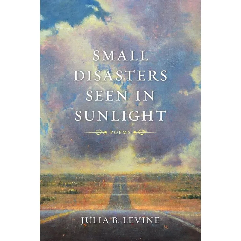 Small Disasters Seen in Sunlight