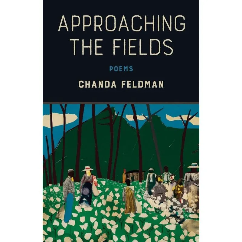 Approaching the Fields