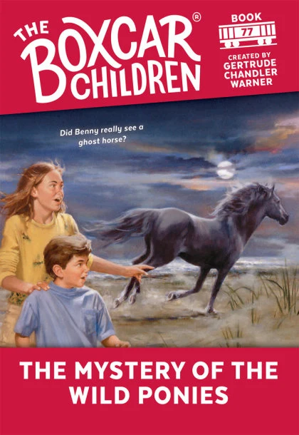 The Mystery of the Wild Ponies STANDARD