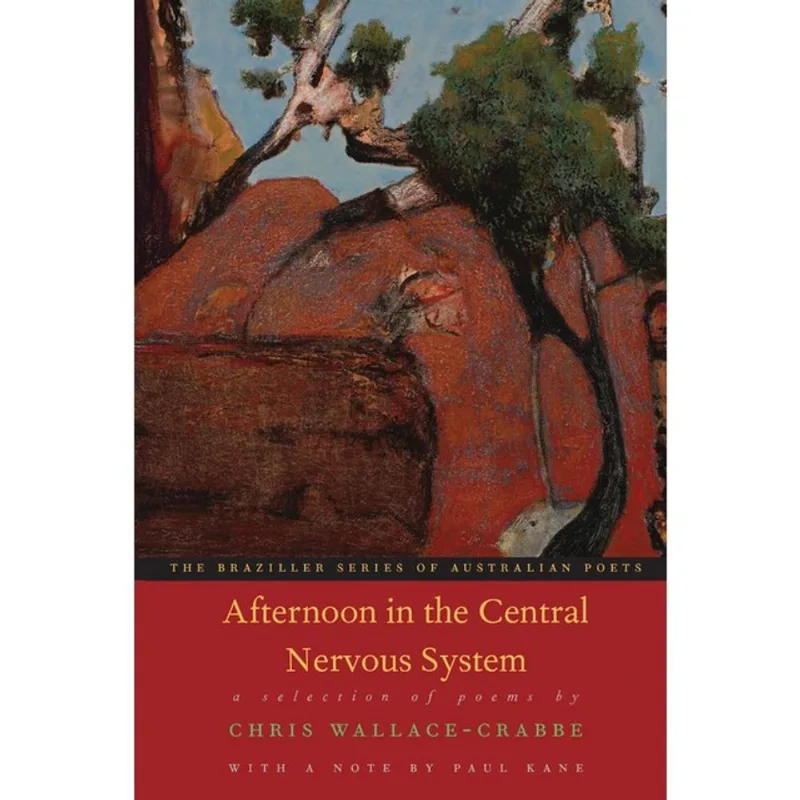 AFTERNOON IN THE CENTRAL NERVOUS SYSTEM