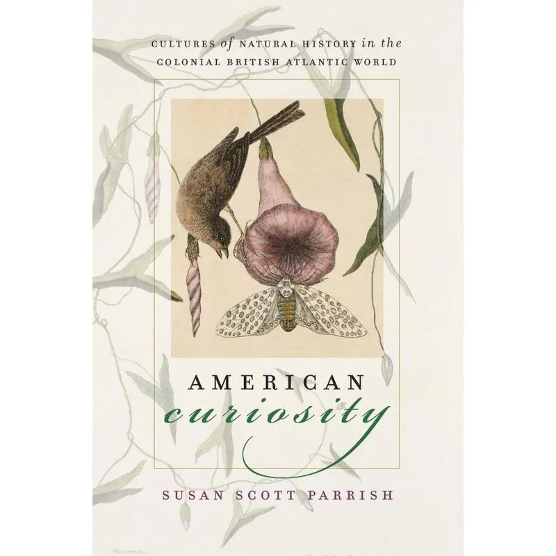 American Curiosity