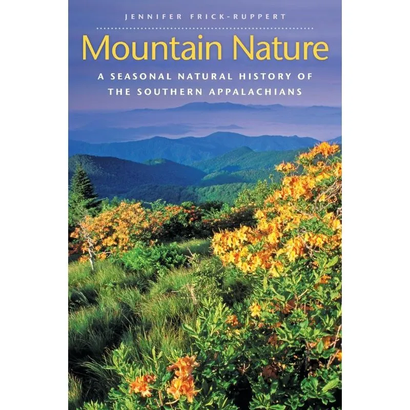 Mountain Nature