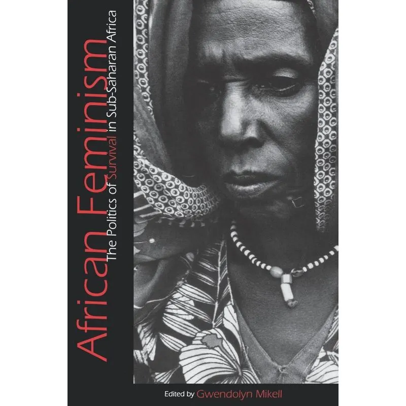 African Feminism