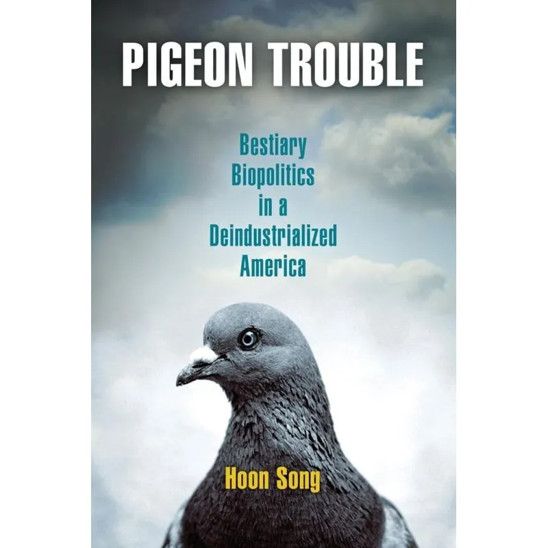 Pigeon Trouble