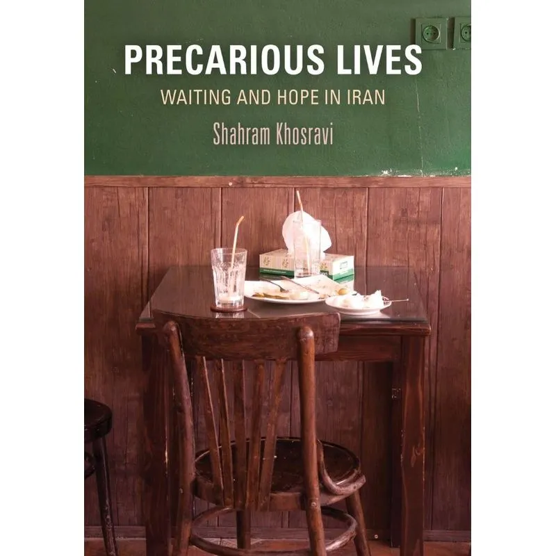 Precarious Lives