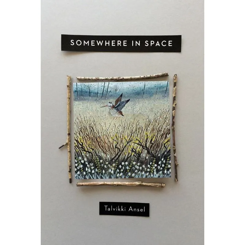 Somewhere in Space