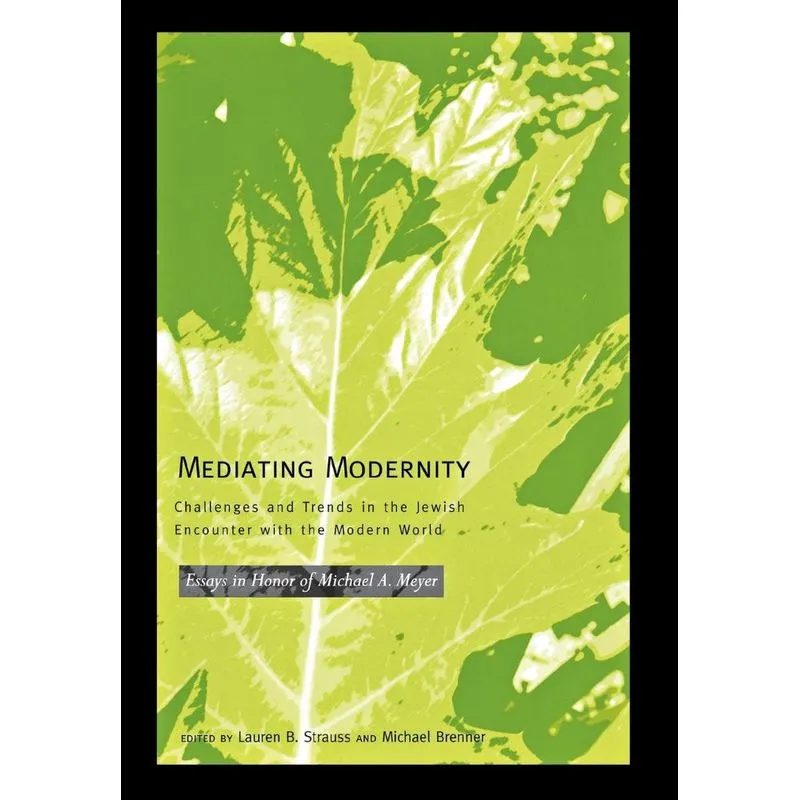 Mediating Modernity