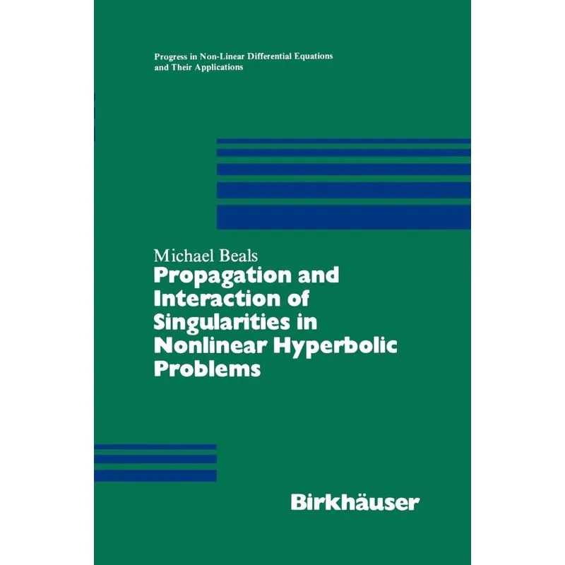 Propagation and Interaction of Singularities in Nonlinear H