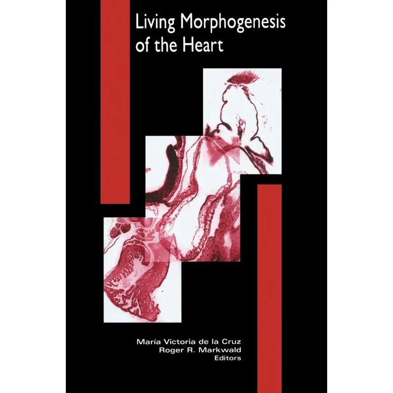 Living Morphogenesis of the Heart
