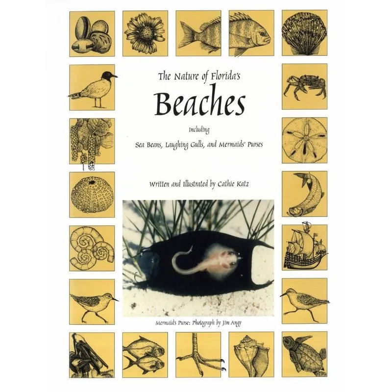 The Nature of Floridas Beaches
