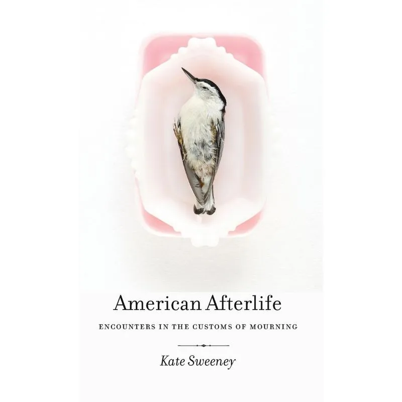 American Afterlife