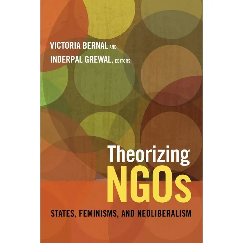 Theorizing NGOs