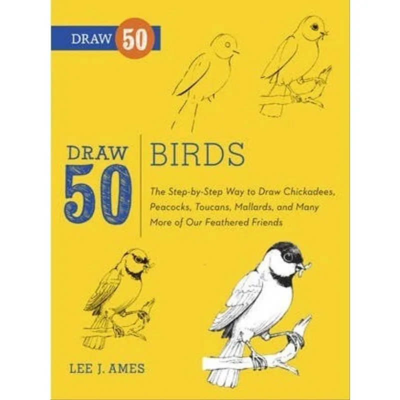DRAW 50 BIRDS