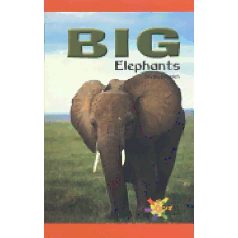 BIG ELEPHANTS