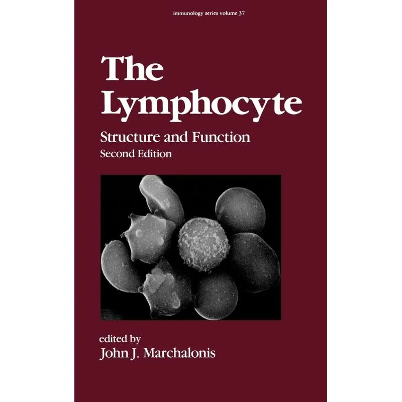 The Lymphocyte