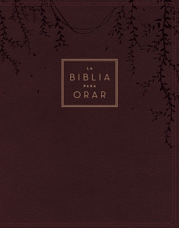 RVR60, The Prayer Bible, Leathersoft, Red Wine, Words of Christ in Red, Comfort Print: Pray God’s Word Cover to Cover Hardback