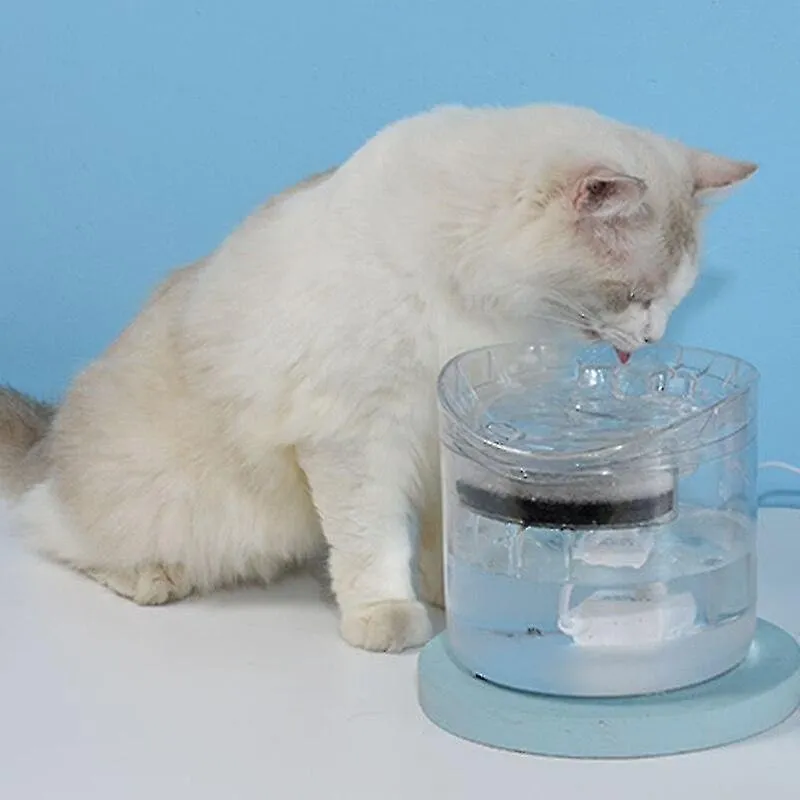 Bebedouros fonte de água automática para gatos com torneira dispensador de água para cães alimentação transparente