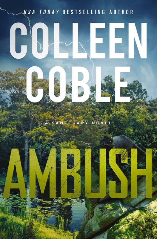 Ambush (A Sanctuary Novel) Paperback