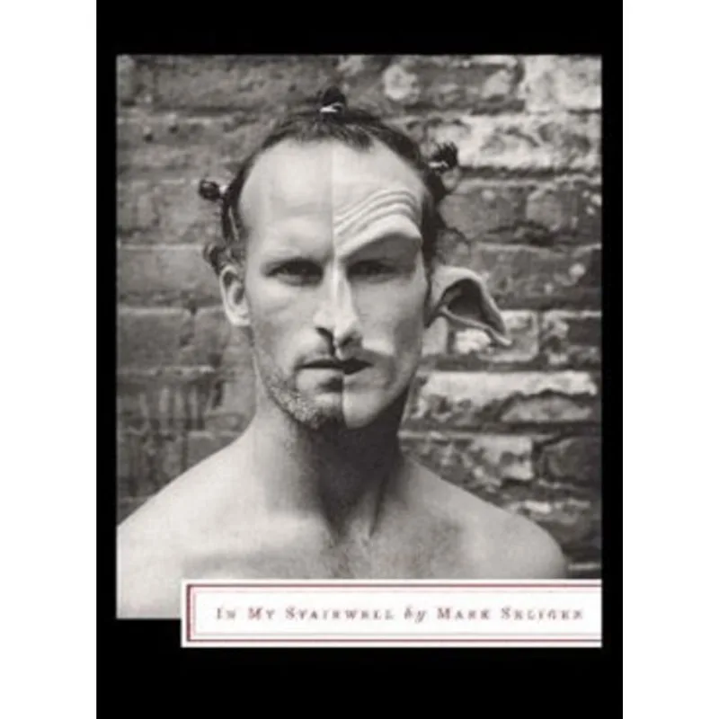 MARK SELIGER - IN MY STAIRWELL