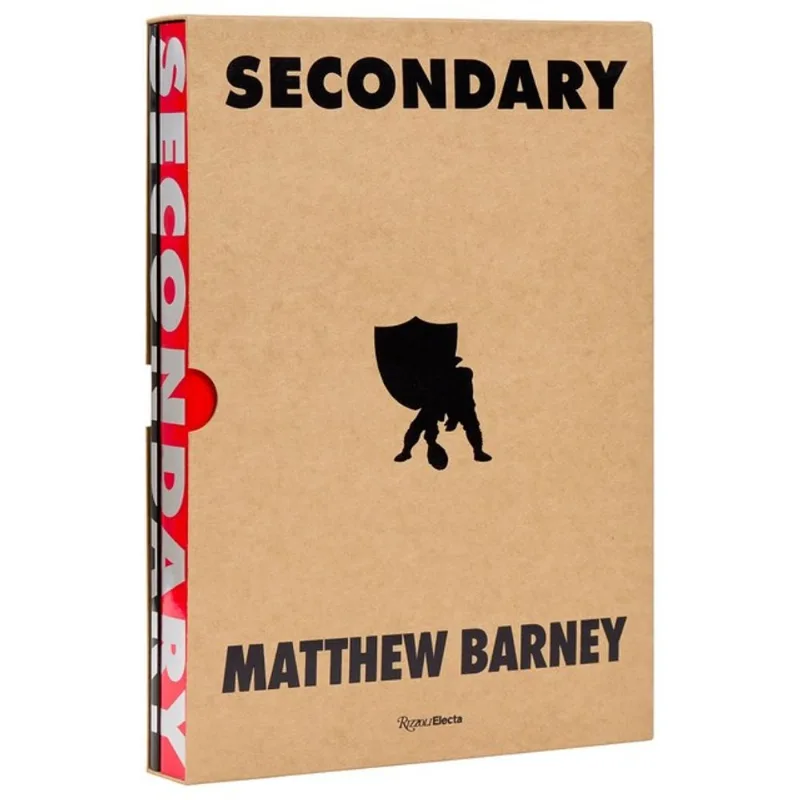 SECONDARY - MATTHEW BARNEY