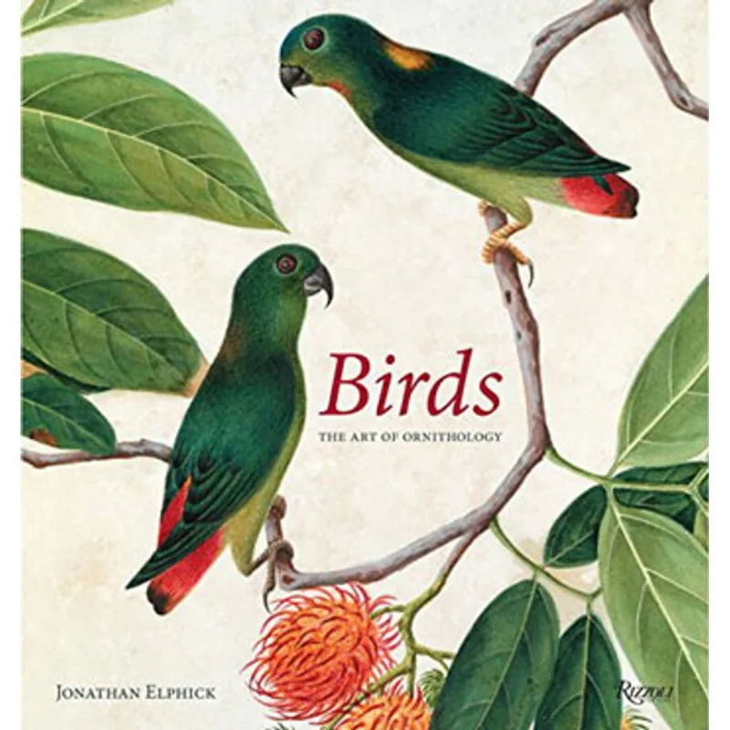 BIRDS - THE ART OF ORNITHOLOGY