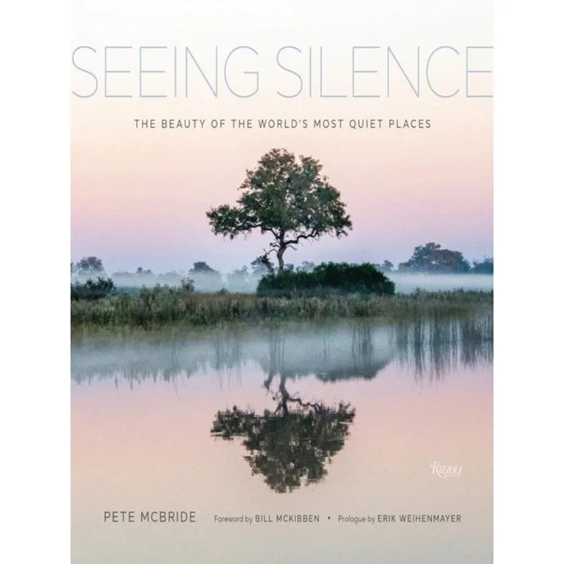 SEEING SILENCE