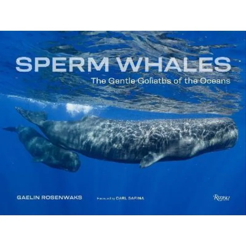 SPERM WHALES