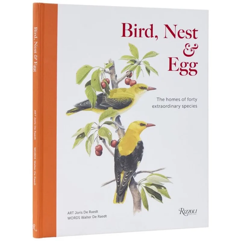 BIRD, NEST & EGG