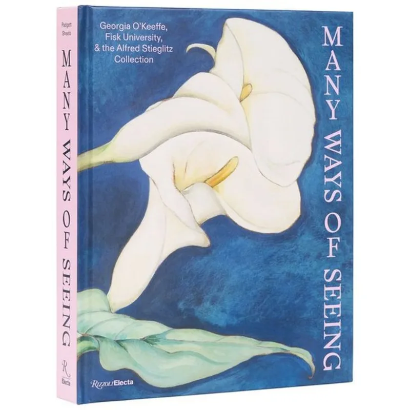 MANY WAYS OF SEEING