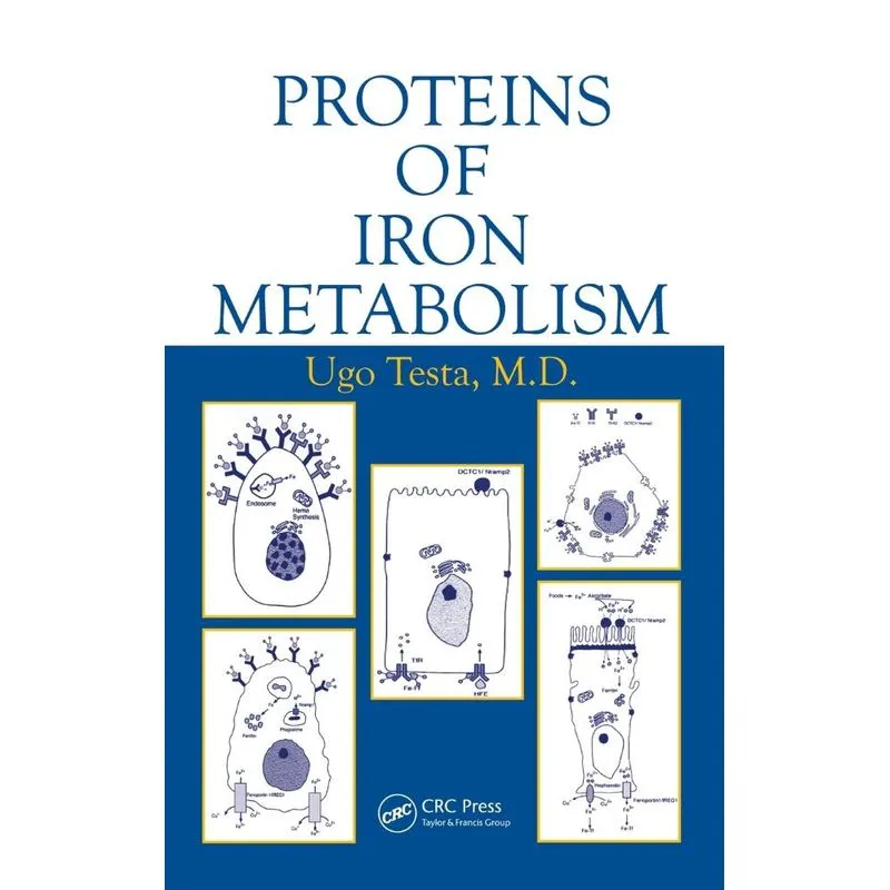 Proteins of Iron Metabolism