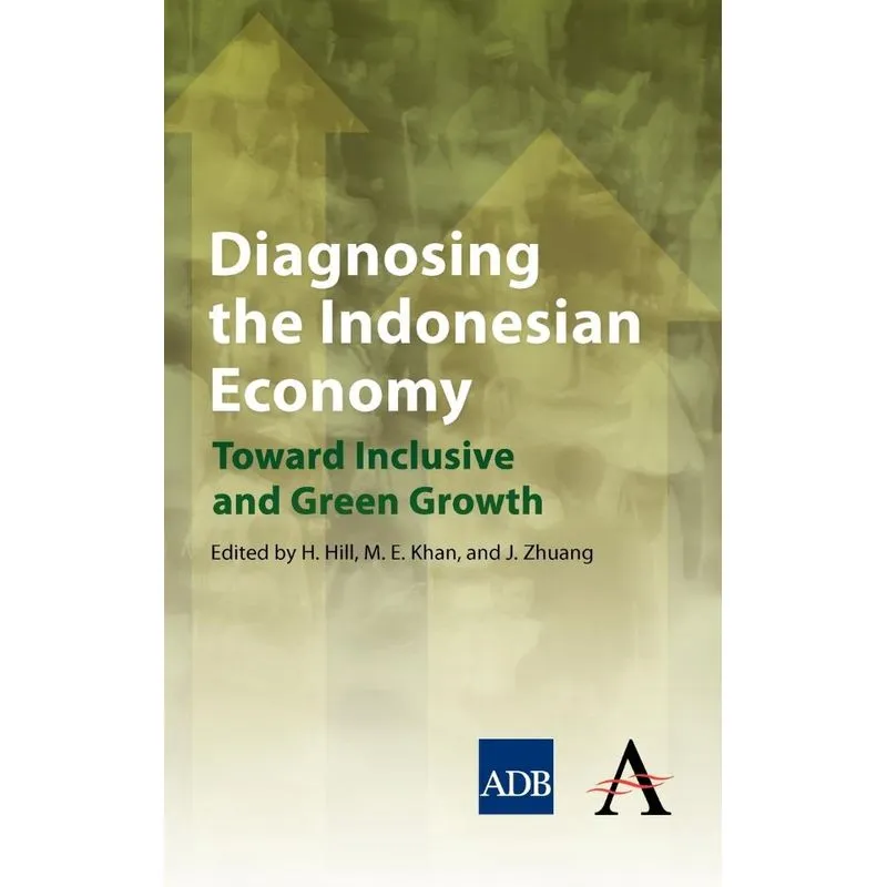 Diagnosing the Indonesian Economy