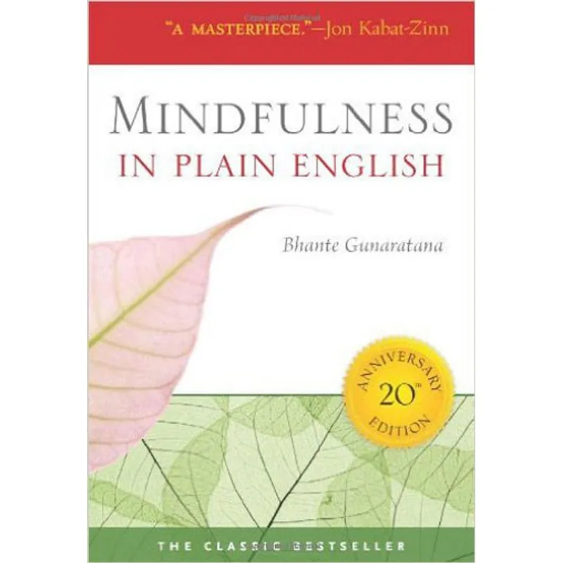 MINDFULNESS IN PLAIN ENGLISH