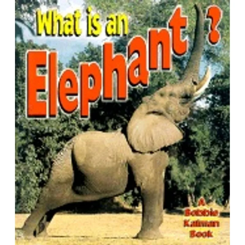 WHAT IS AN ELEPHANT?