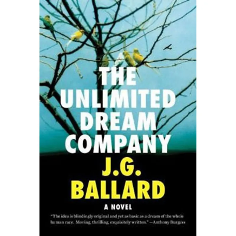 UNLIMITED DREAM COMPANY, THE