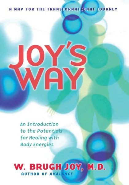 Joy's Way, a Map for the Transformational Journey STANDARD