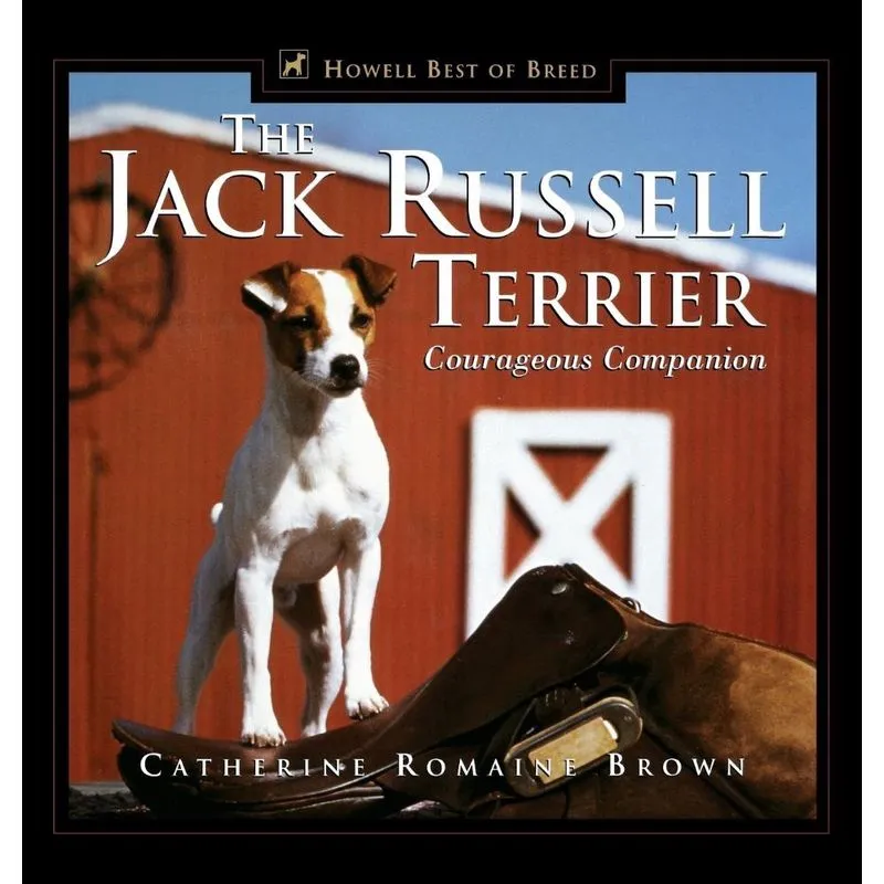 The Jack Russell Terrier