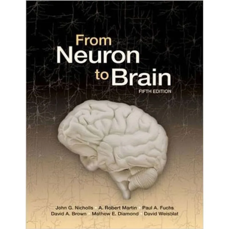 FROM NEURON TO BRAIN