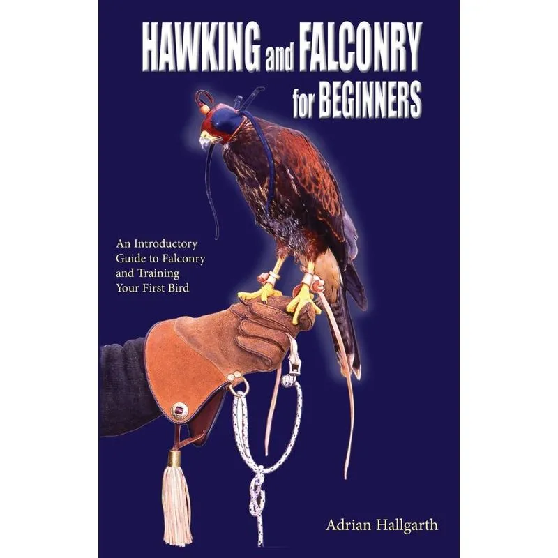 Hawking and Falconry for Begginers