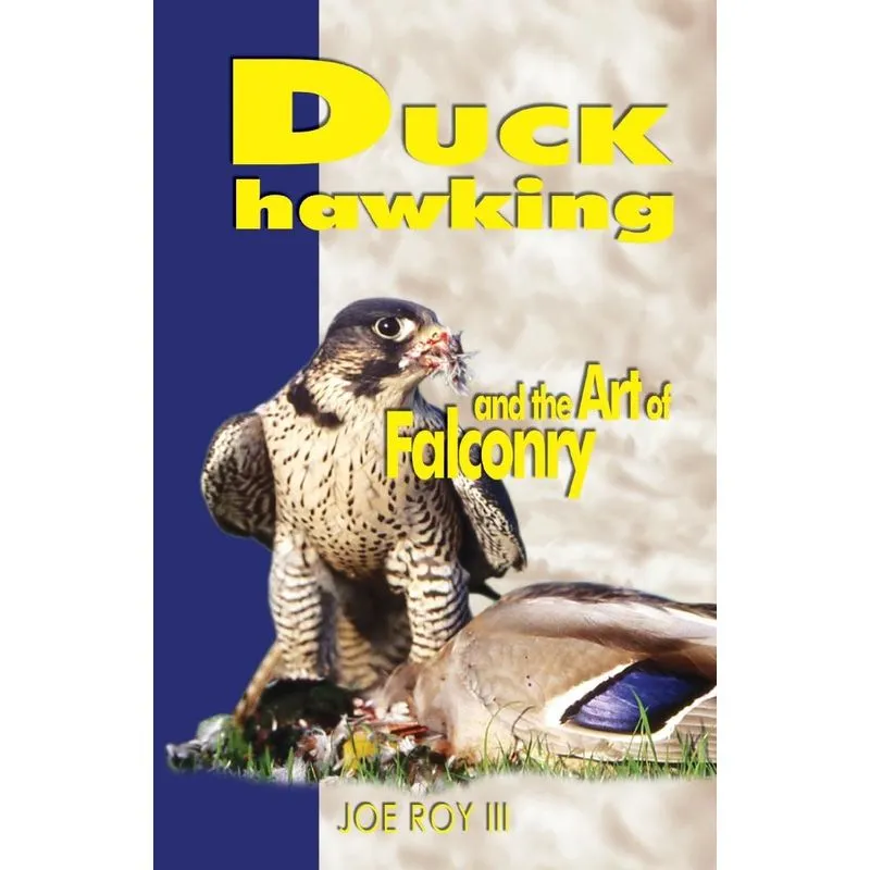 Duck Hawking