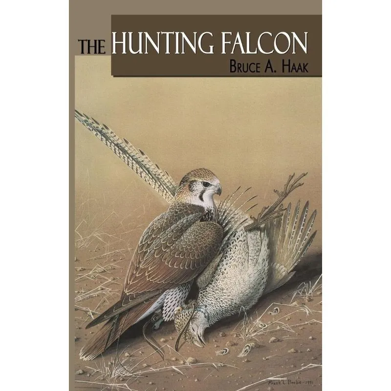 The Hunting Falcon