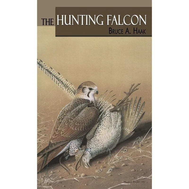 The Hunting Falcon