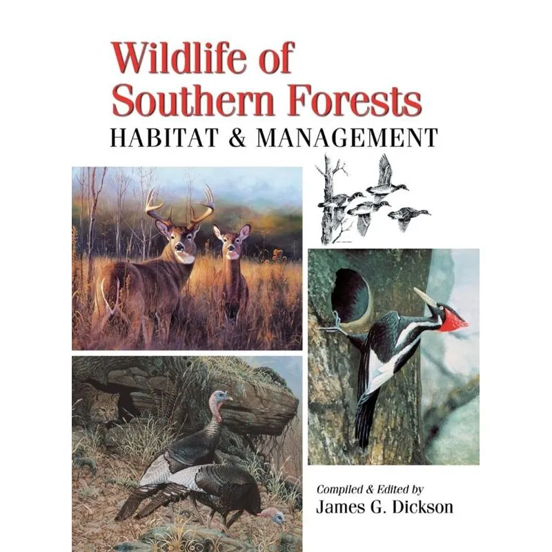 Wildlife of Southern Forests