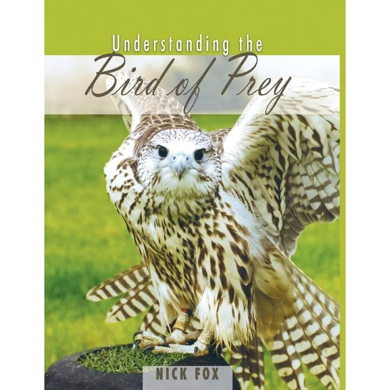 Understanding the Bird of Prey