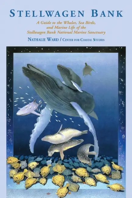 Stellwagen Bank: A Guide to the Whales, Sea Birds, and Marine Life of the Stellwagen Bank National Marine Sanctuary Paperback