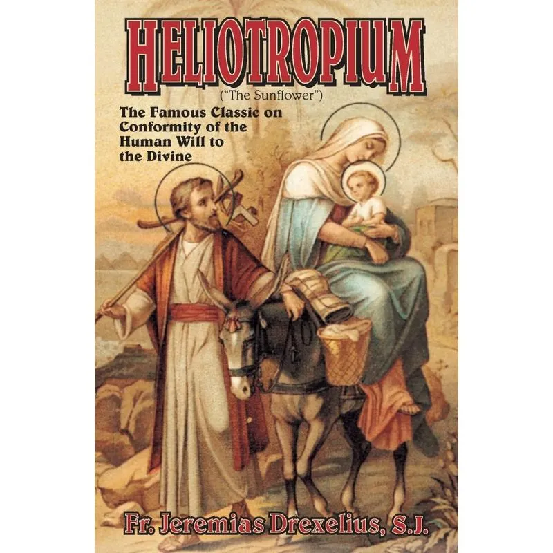 Heliotropium
