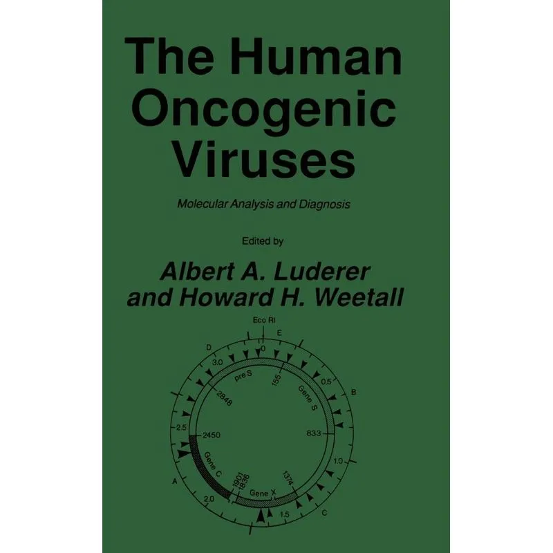 The Human Oncogenic Viruses