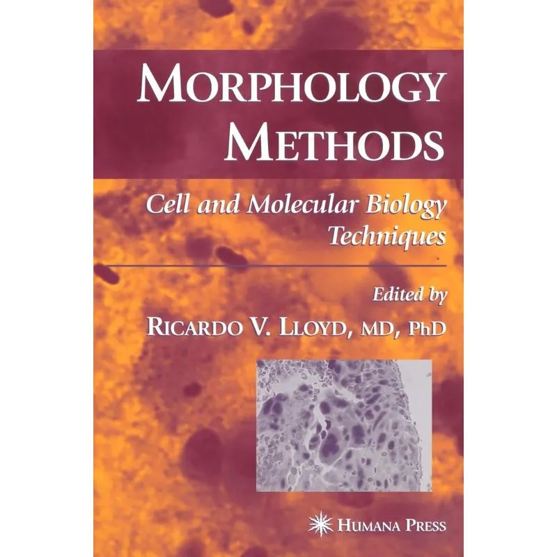 Morphology Methods